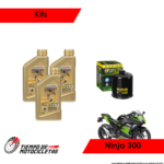 Aceite Castrol Power 1 3 Botellas + HiFlo HF303RC