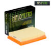 Filtro de Aire HiFlo HFA6101