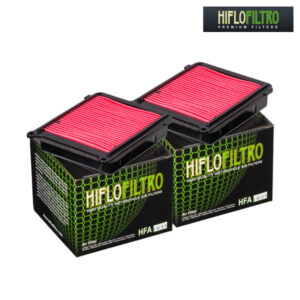 Filtro de Aire HiFlo HFA1935